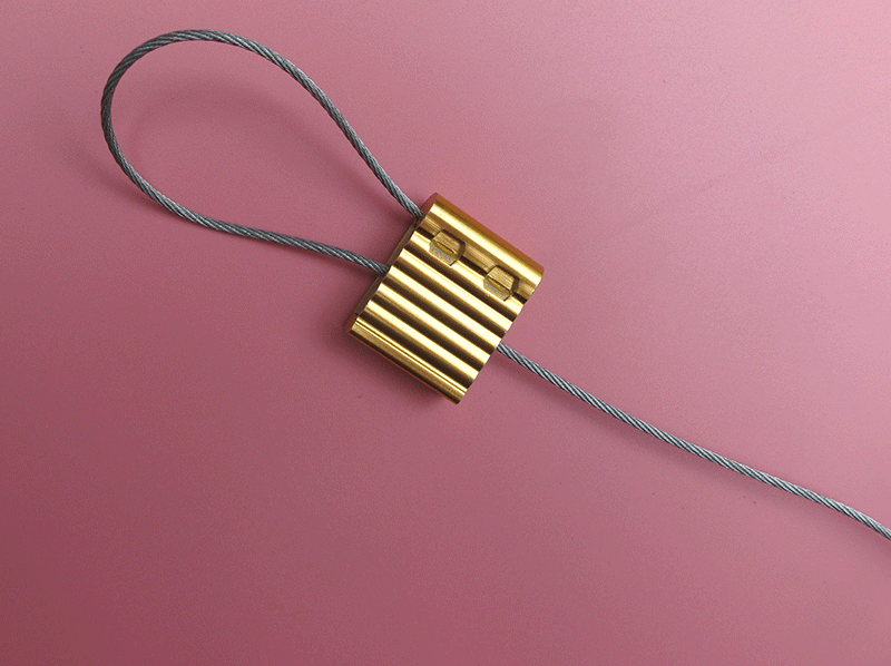 Security container cable seal