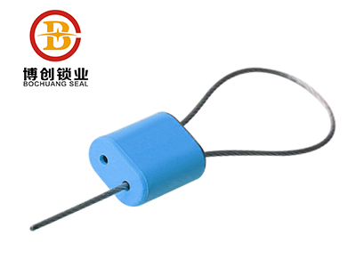 BC-C304 Pull Tight Cable Seals with Laser or Hot Printings