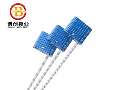 Security container cable seal BC-C206