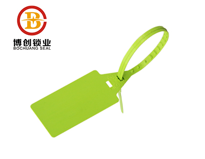 P107 Adjustable Pull-Up plastic seal for container shipping
