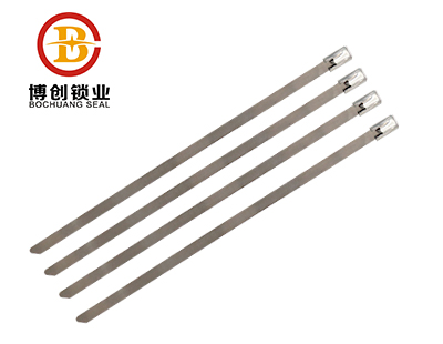 Customized Iron Steel-Wire Strap Security Metal cable Tie BC-S105